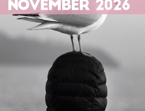 Monatsprogramm November